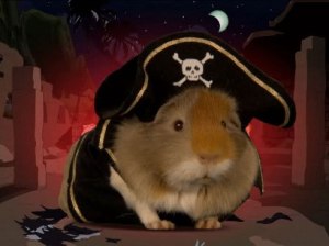 Pirates!