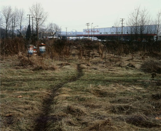 Jeff Wall -- The Crooked Path