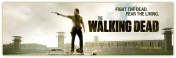 TheWalkingDeadS3E11