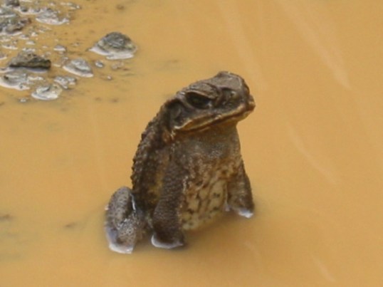 (Picture by Erin Nicole Bowman)