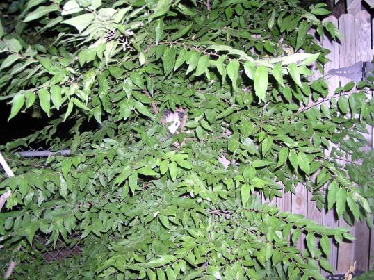 Photograph by the Dazzling Erin Nicole