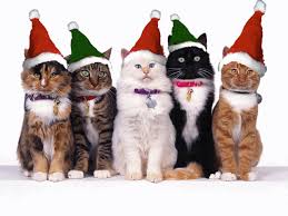 Christmas Trailer Kitties