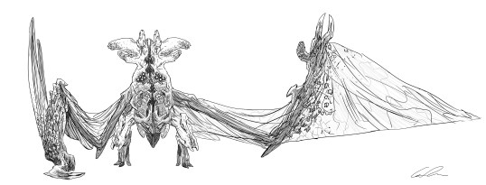 guy_davis_bat_ears_brady_front_rev