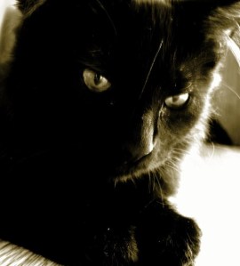 He's thinking about it.