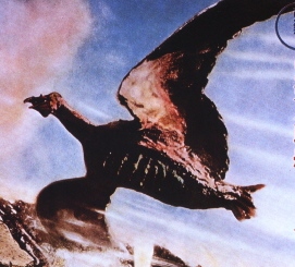 Rodan
