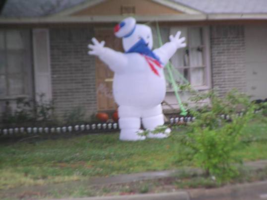 Photograph by Erin Nicole