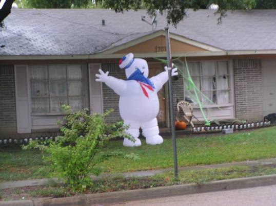 Photograph by Erin Nicole