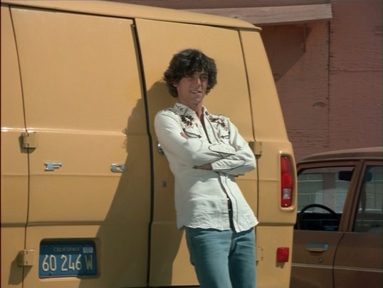 He owns a van.  It has shag carpeting and a strobe light.