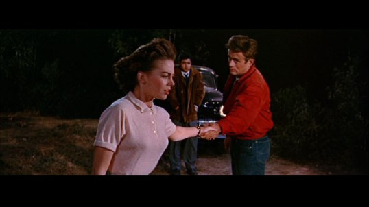 Rebel Without A Cause 2