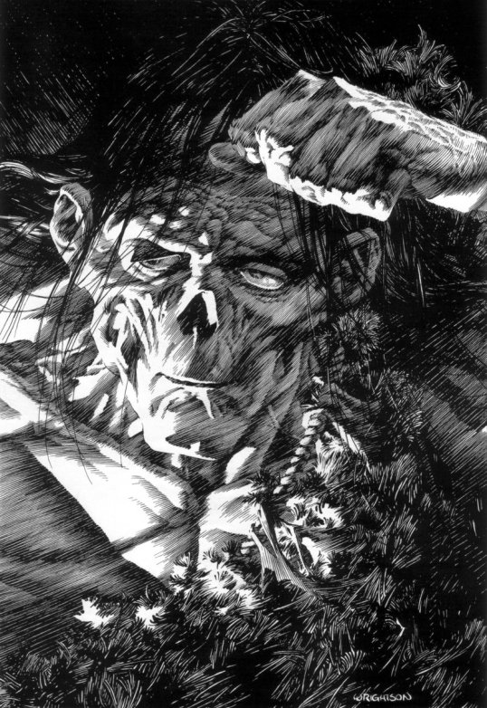 BernieWrightson08