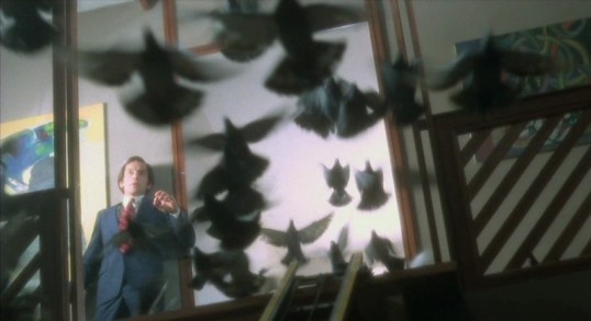 Beware the Crows