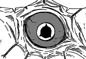 Shin's_Mangeky _Sharingan