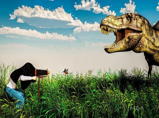 Wildlife Photographer by Bob Orsillo