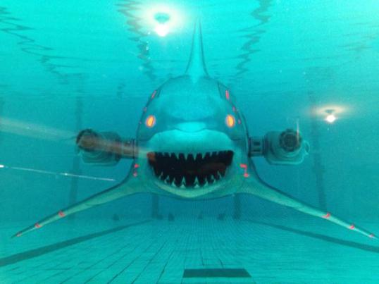 We love you, Roboshark!