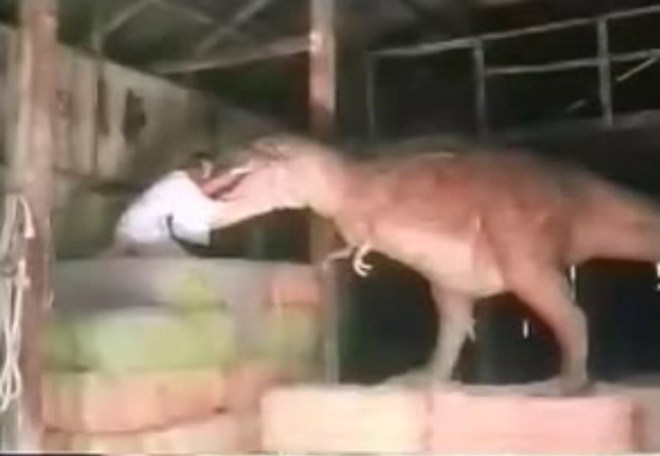 This will move you to tears.