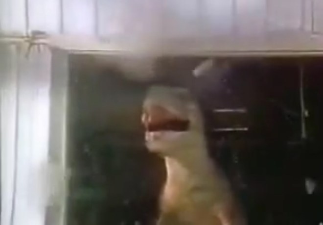 An American Werewolf In London death