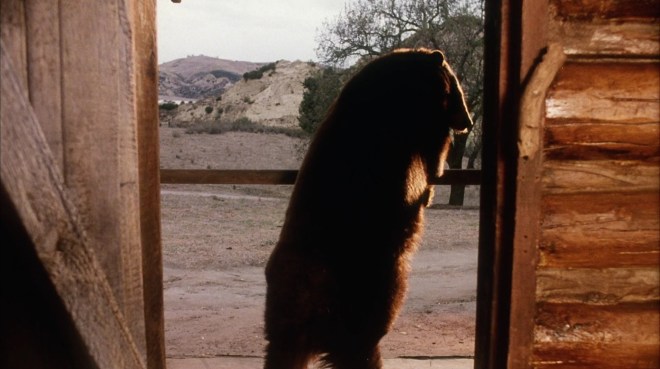 The Magic Of The Golden Bear: Goldy III