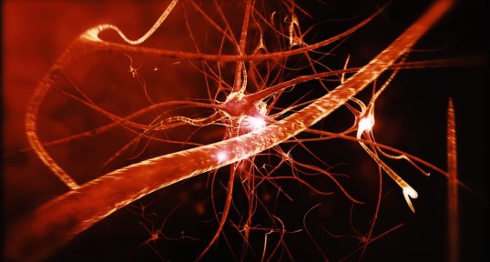 Inside The Brain Shot