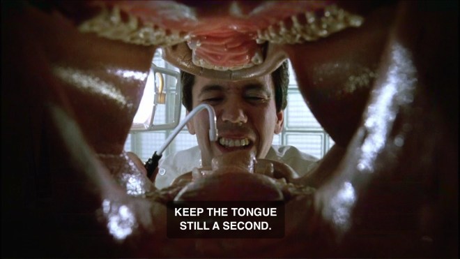 Straight From The Horses Mouth