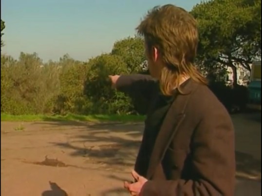 It's that specific bush right over there.