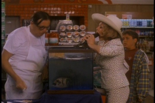 vlcsnap-2015-09-16-12h47m59s955