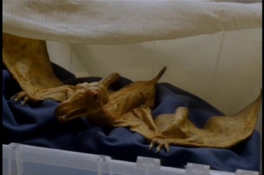 vlcsnap-2015-09-16-17h25m01s118