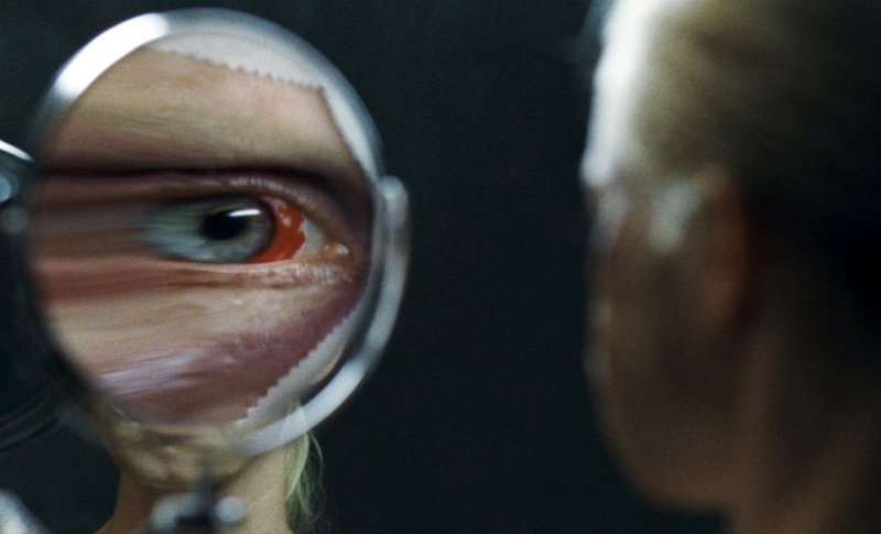 Goodnight Mommy (dir. by Veronika Franz and Severin Fiala)