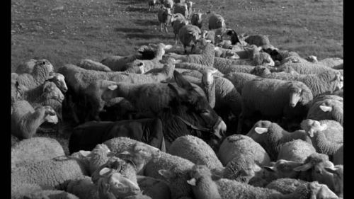 Screen Shot 2015-11-14 at 12.48.15 PM