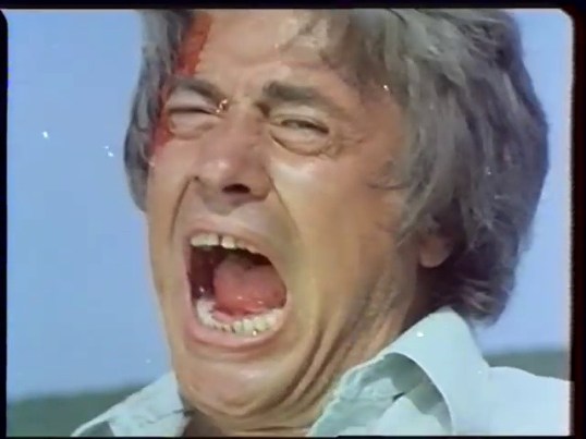 vlcsnap-2015-11-20-23h23m32s446