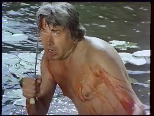 vlcsnap-2015-11-20-23h28m34s425