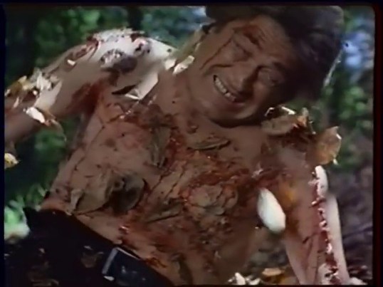 vlcsnap-2015-11-20-23h33m05s954