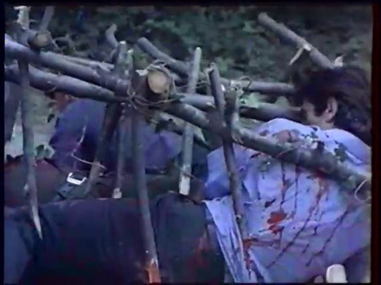 vlcsnap-2015-11-22-17h43m04s064