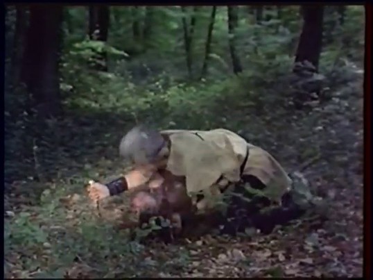 vlcsnap-2015-11-22-17h45m04s664