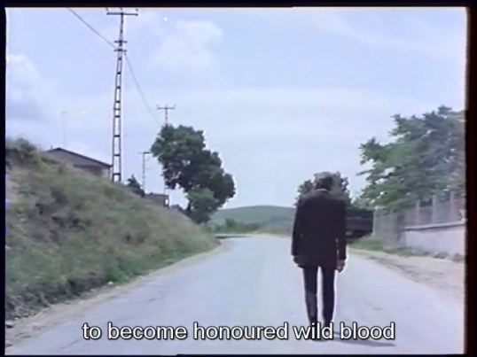 vlcsnap-2015-11-22-18h38m41s234