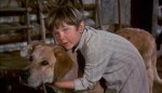Kevin Corcoran (Old&nbsp;Yeller)