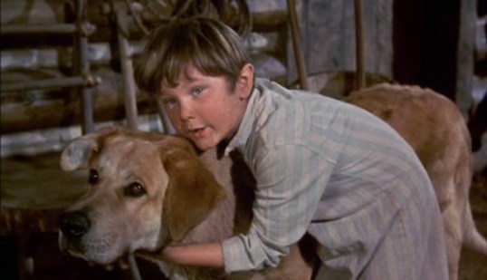 Kevin Corcoran (Old Yeller)