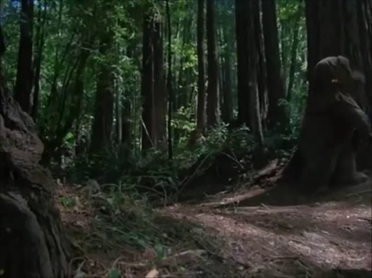 vlcsnap-2015-12-16-14h47m40s270