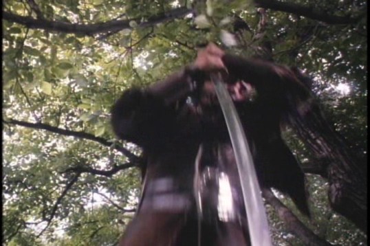 vlcsnap-2015-12-19-14h49m45s043