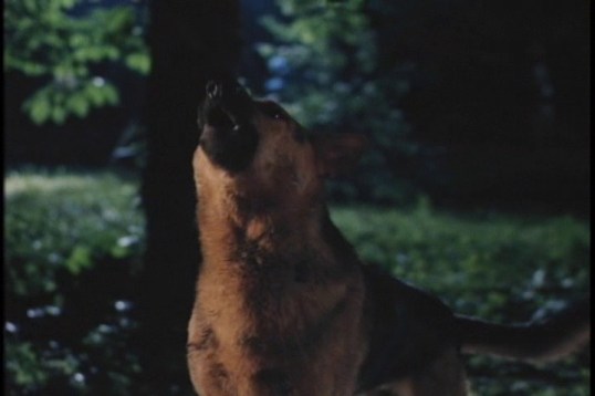 vlcsnap-2015-12-27-15h23m42s004