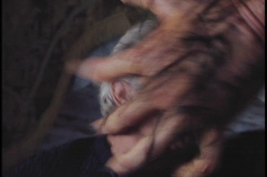 vlcsnap-2015-12-27-15h44m41s715