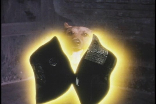 vlcsnap-2015-12-27-16h01m18s770