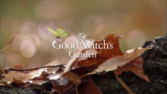 vlcsnap-2016-02-11-16h54m29s169