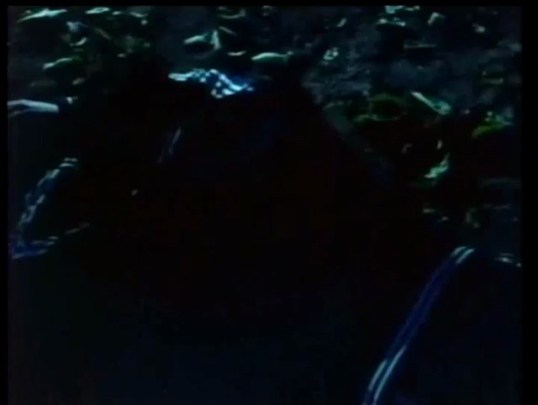 Pieces (1982 dir. Juan Piquer Simón)