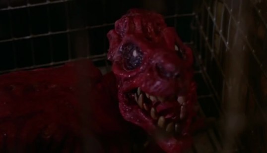 vlcsnap-2016-05-02-19h18m07s150