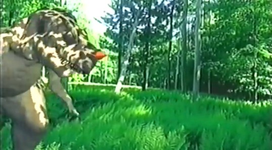 The Creation Adventure Team: Six Short Days, One Big Adventure (2002, dir. Cathy Henderson)