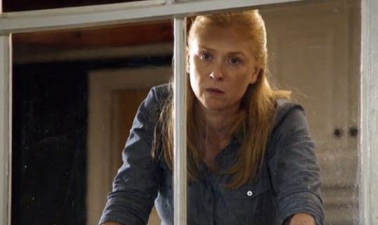 The-Maid-window-620x369