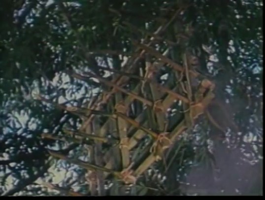 vlcsnap-2016-07-02-19h07m41s759