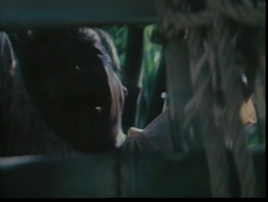 vlcsnap-2016-07-02-19h07m45s054