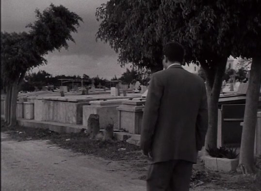 vlcsnap-2016-07-21-19h26m29s938