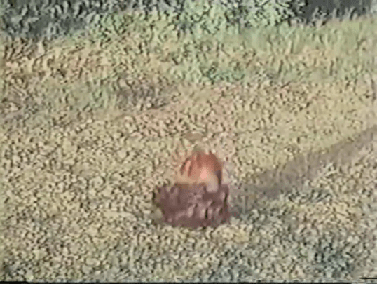 If Footmen Tire You What Will Horses Do? (1971, dir Ron Ormond)